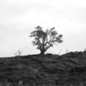 Meet your Posher, Karlina